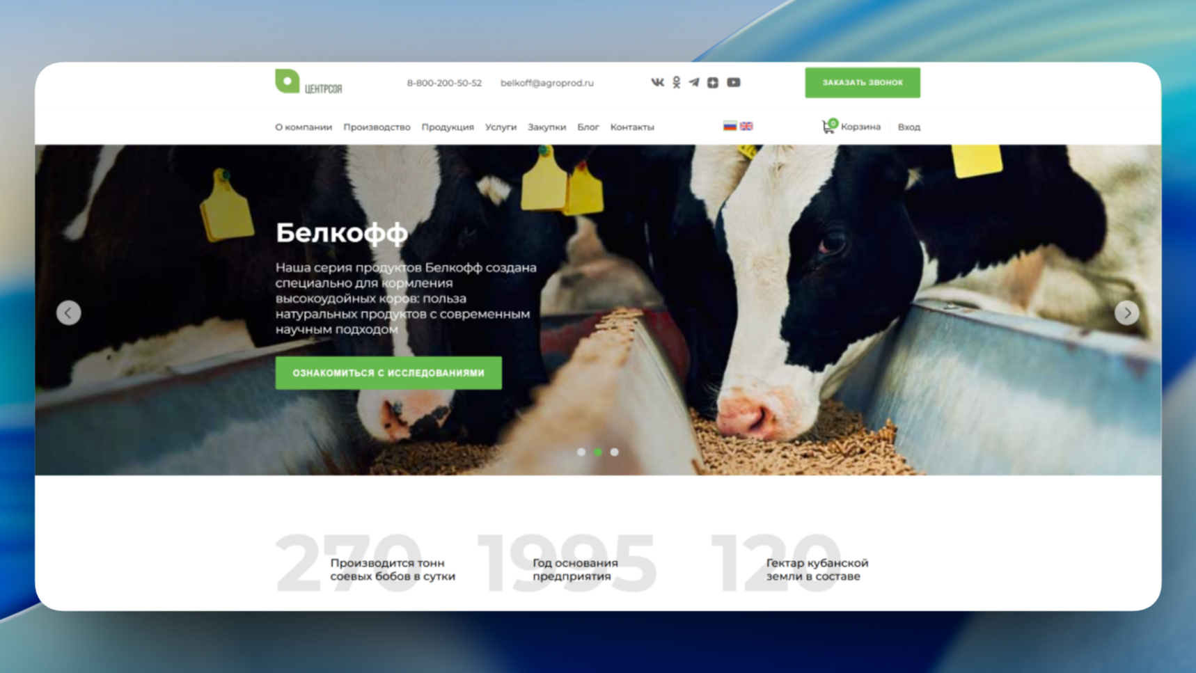 csoya.ru