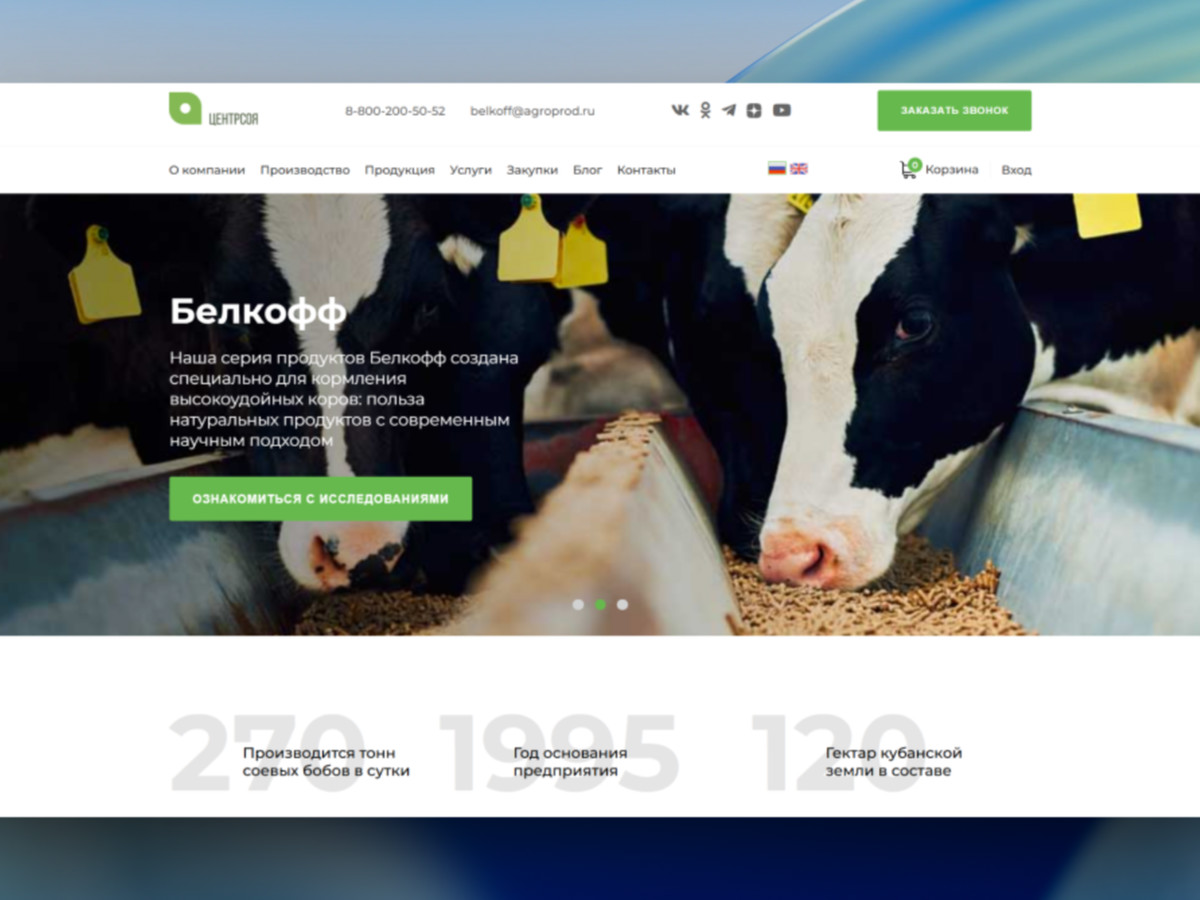 csoya.ru