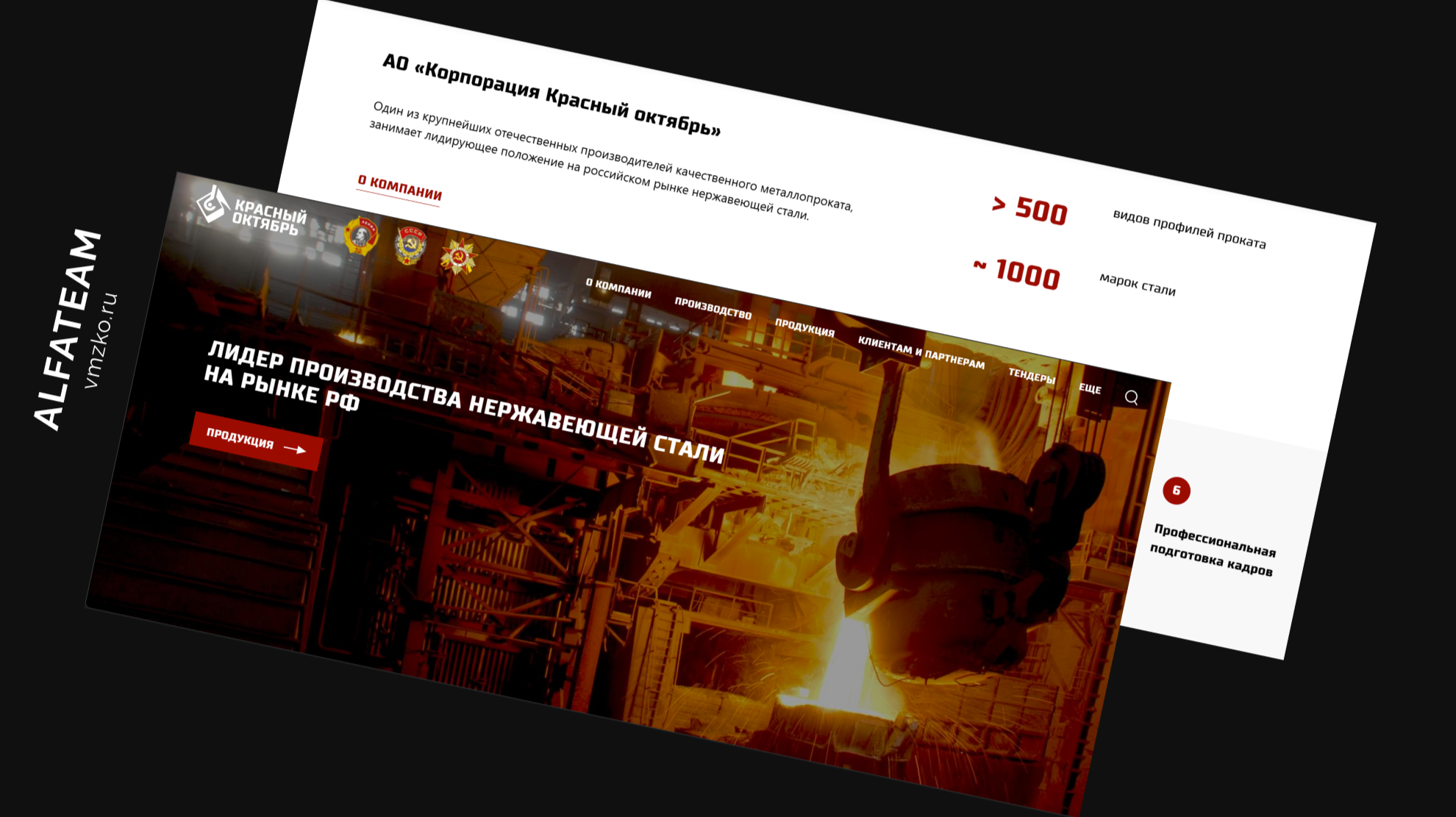 vmzko.ru